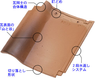 ニューセラS特徴説明